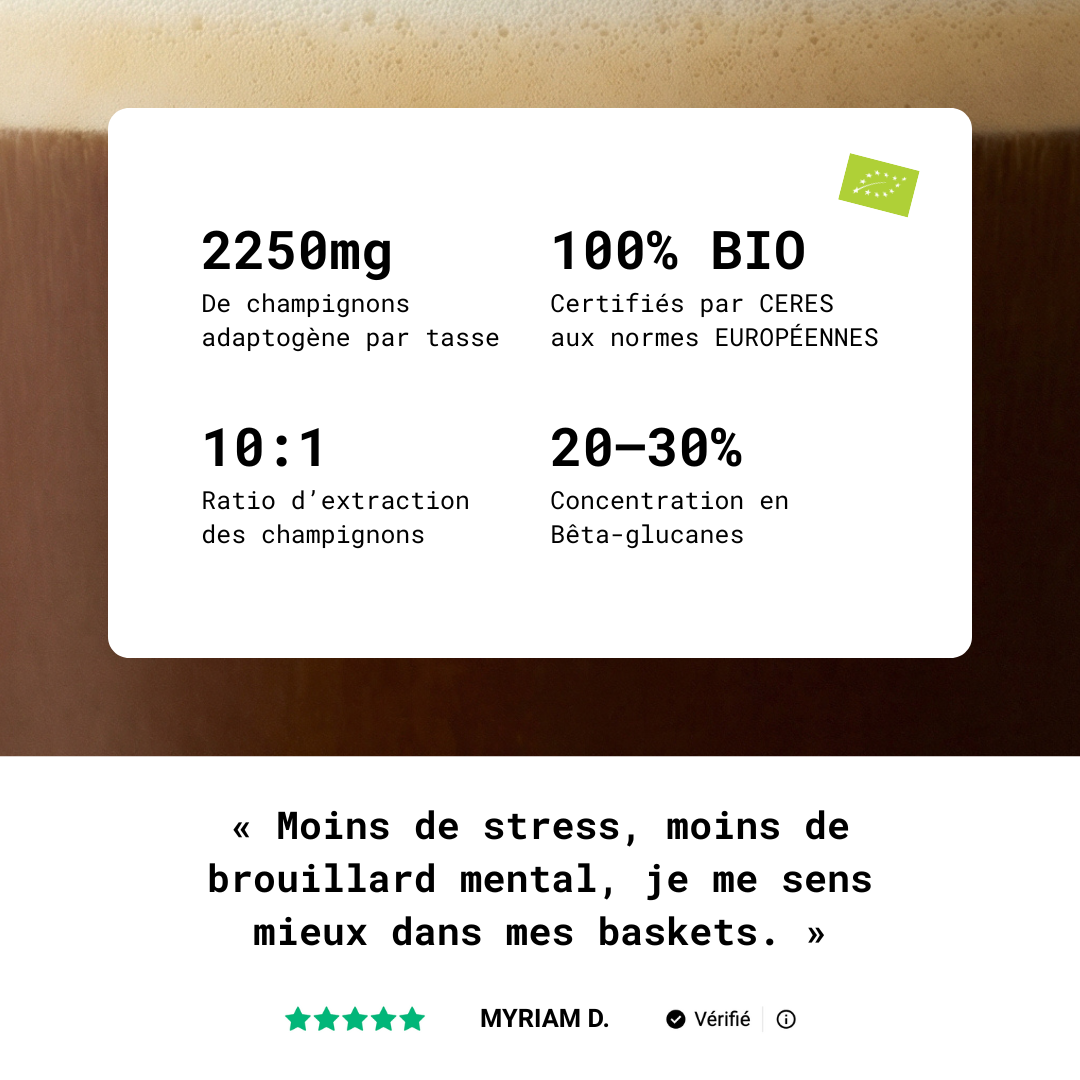 Café Mushee - Boisson aux champignons adaptogènes, vue de face