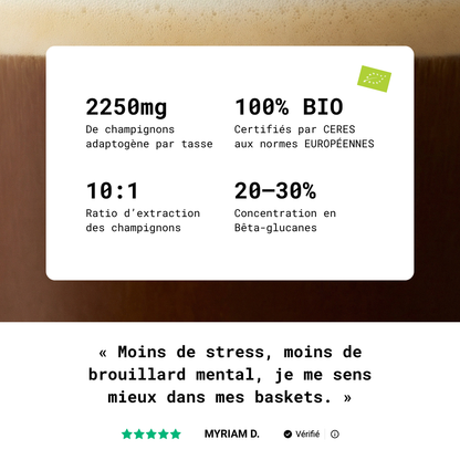 Café Mushee - Boisson aux champignons adaptogènes, vue de face
