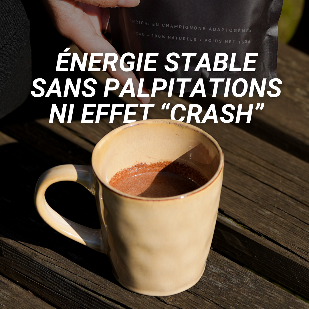 Cacao Adaptogène Mushee aux champignons médicinaux - Lion's Mane, Chaga