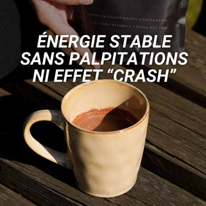 Cacao Adaptogène Mushee aux champignons médicinaux - Lion's Mane, Chaga