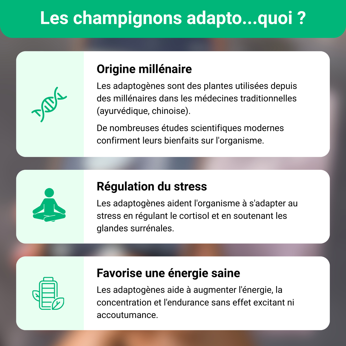 Mix Mushee - Sélection de boissons aux champignons adaptogènes
